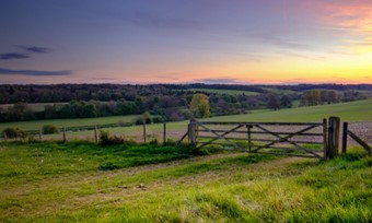A picturesque sunset illuminates a tranquil field