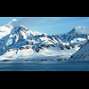 Arctic News
